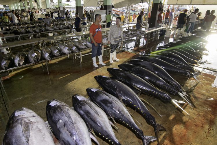 The Tuna Industry Embracing Technologies And Sustainable Strategies