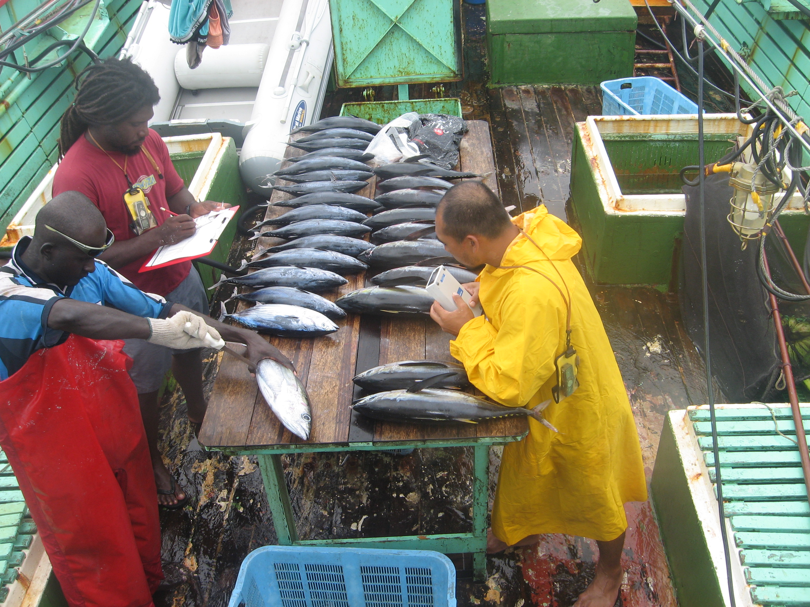 Crucial Turning Point For World s Biggest Fishery FFA s TunaPacific 